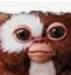 Avatar von gizmore